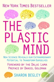 Capa do artigo The Plastic Mind