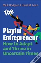 The Playful Entrepreneur
