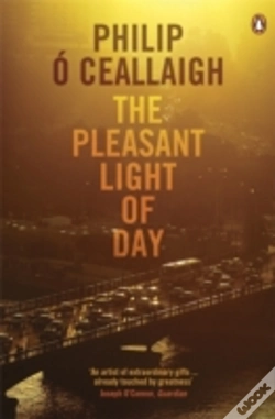 Capa do artigo The Pleasant Light Of Day