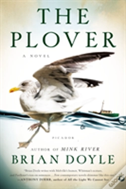 Capa do artigo The Plover