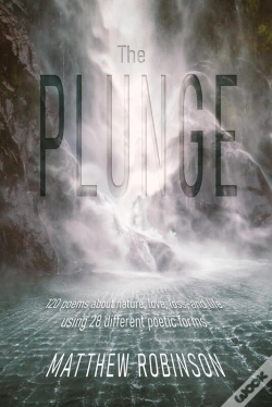 Capa do artigo The Plunge