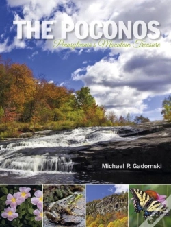 Capa do artigo The Poconos