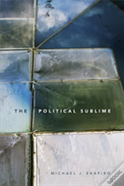 Capa do artigo The Political Sublime