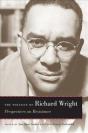 The Politics Of Richard Wright - Preview
