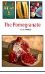 The Pomegranate - Preview
