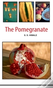 Capa do artigo The Pomegranate