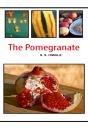 The Pomegranate - Preview