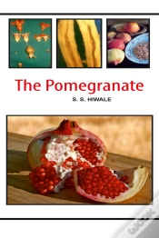 Capa do artigo The Pomegranate