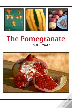 Capa do artigo The Pomegranate