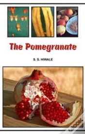 Capa do artigo The Pomegranate