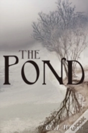 Capa do artigo The Pond