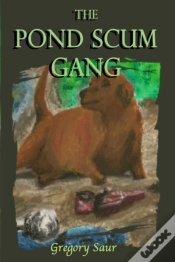 Capa do artigo The Pond Scum Gang