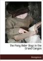 The Pony Rider Boys In The Grand Canyon - Preview