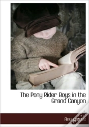 Capa do artigo The Pony Rider Boys In The Grand Canyon