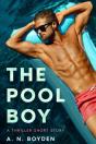 The Pool Boy - Preview
