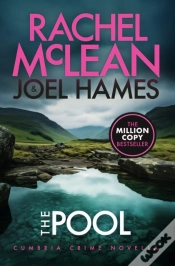 Capa do artigo The Pool