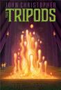 The Pool Of Fire - Preview