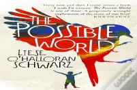 The Possible World