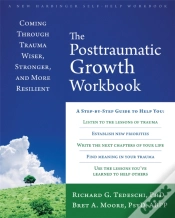 Capa do artigo The Post-Traumatic Growth Workbook