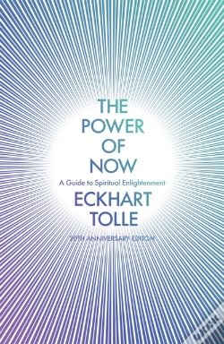 Capa do artigo The Power of Now