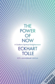 Capa do artigo The Power of Now