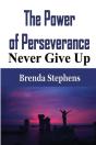 The Power Of Perseverance: Never Give Up - Preview