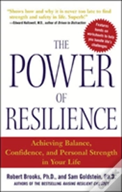 Capa do artigo The Power Of Resilience