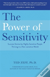 Capa do artigo The Power Of Sensitivity