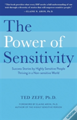 Capa do artigo The Power Of Sensitivity