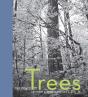 The Power Of Trees - Preview
