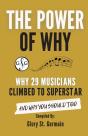 The Power Of Why 29 Musicians  Climbed T - Preview