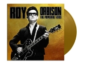 Capa do artigo The Powerful Voice - Vinil