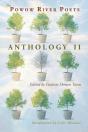The Powow River Poets Anthology Ii - Preview