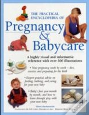 Capa do artigo The Practical Encyclopedia Of Pregnancy & Babycare