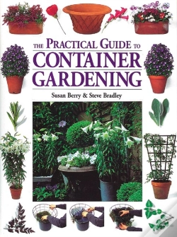 Capa do artigo The Practical Guide To Container Gardening