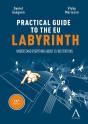 The Practical Guide To The Eu Labyrinth : Understand Everything About Eu Institutions! - Preview
