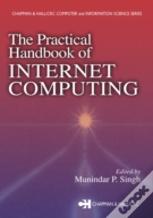 The Practical Handbook Of Internet Computing
