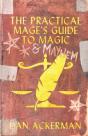 The Practical Mage'S Guide To   Magic An - Preview