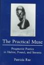 The Practical Muse - Preview