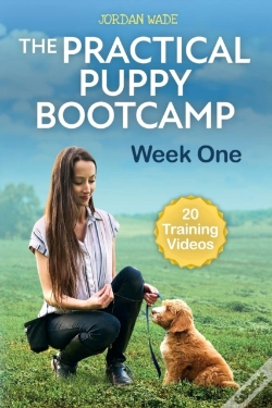 Capa do artigo The Practical Puppy Bootcamp