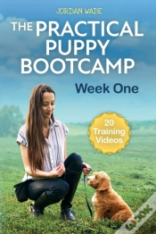 Capa do artigo The Practical Puppy Bootcamp