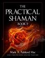 The Practical Shaman Book 2 - Preview