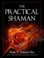 The Practical Shaman - Preview
