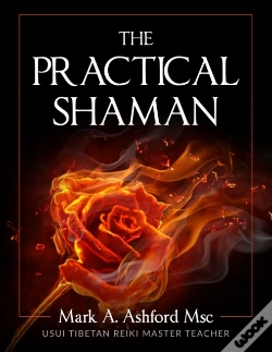 Capa do artigo The Practical Shaman