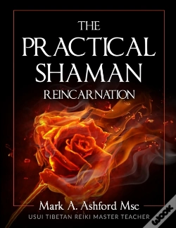 Capa do artigo The Practical Shaman - Reincarnation