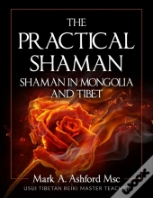 The Practical Shaman - Shaman In Mongoli