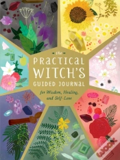 Capa do artigo The Practical Witch