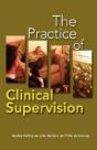 The Practice Of Clinical Supervision - Preview