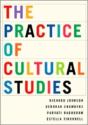 The Practice Of Cultural Studies - Preview
