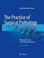 The Practice Of Surgical Pathology - Preview